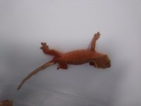 20180323_124459.jpg