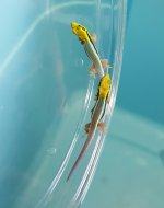 20171205_125658.jpg