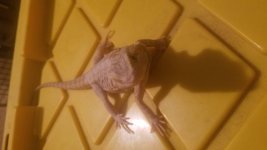 20180403_202125.jpg