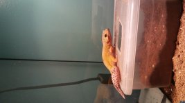 20180602_193634.jpg