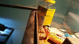 20180602_193715.jpg