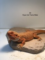 IMG_0033.jpg