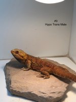 IMG_4325.jpg