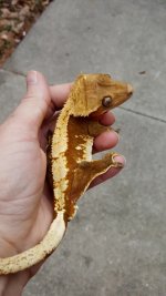 almond (9).jpg