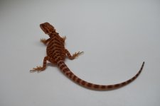 9358630D-ED5D-40F2-9C60-50626FDD8338.jpg