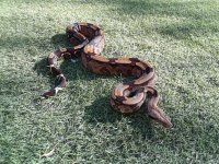 20180518_075223.jpg
