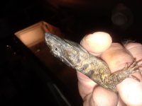 20180702_214325.jpg