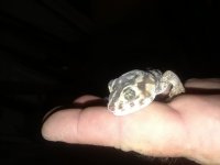 20180702_213844.jpg