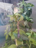 20170712_164422.jpg