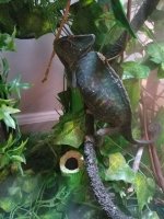 20171108_183205.jpg