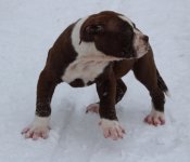 IMG_2339.jpg