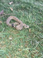 IMG_0948.jpg IMG_0948.jpg