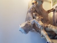 20171121_160322.jpg