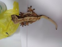 20180318_180910.jpg