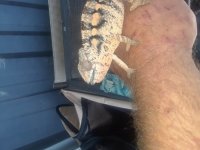20180604_095814.jpg