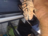 20180604_095803.jpg