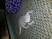 20171205_124725.jpg