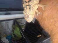 20180604_095753.jpg