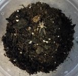 IMG_20180506_100935.jpg