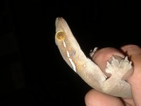 20180227_001011.jpg