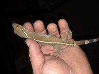 20180227_001004.jpg