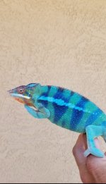 20180522_123057.jpg