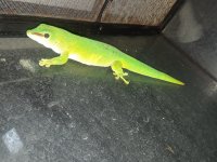 20180227_001033.jpg