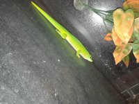 20180227_001059.jpg