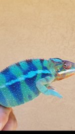 20180522_123130.jpg