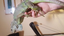 20180419_164828.jpg