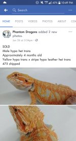 Capture+_2018-02-26-22-49-33.jpg