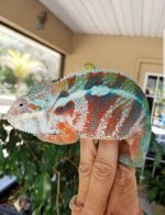 20180522_123709.jpg