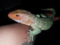 20180726_212331.jpg