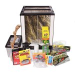 Complete-crested-gecko-kit.jpg