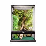 crested-gecko-kit.jpg