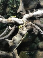 IMG_0554.jpg