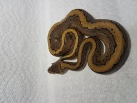 20180703_221501.jpg