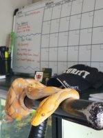 20180405_163934.jpg
