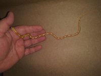 20180727_064428.jpg