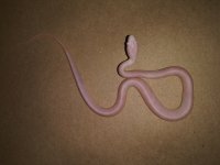 20180727_064503.jpg