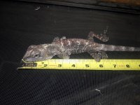 20171116_073054.jpg