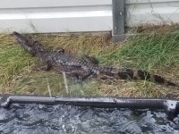 20180709_101634.jpg