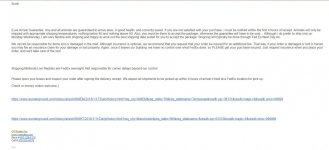 Email6.jpg
