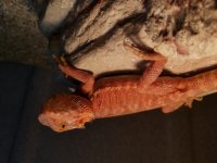 20180405_183936.jpg