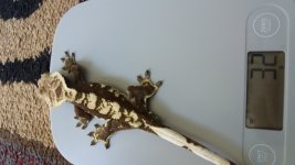 20180419_123757.jpg