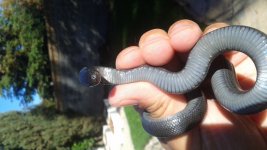 20171117_131458.jpg