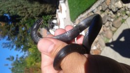 20171117_131505.jpg