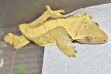 DSC_0366.jpg