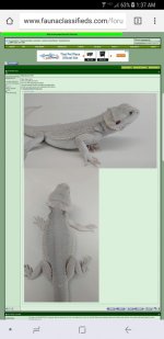 Screenshot_20180227-013742.jpg