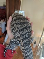 IMG_20180118_141319.jpg